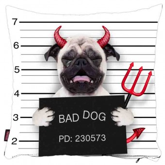 Köpekli Yastık Kılıfı-28